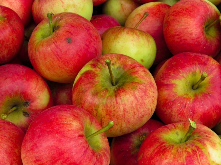 Are Apples Keto-Friendly?